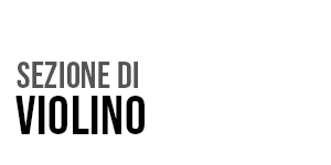 violino